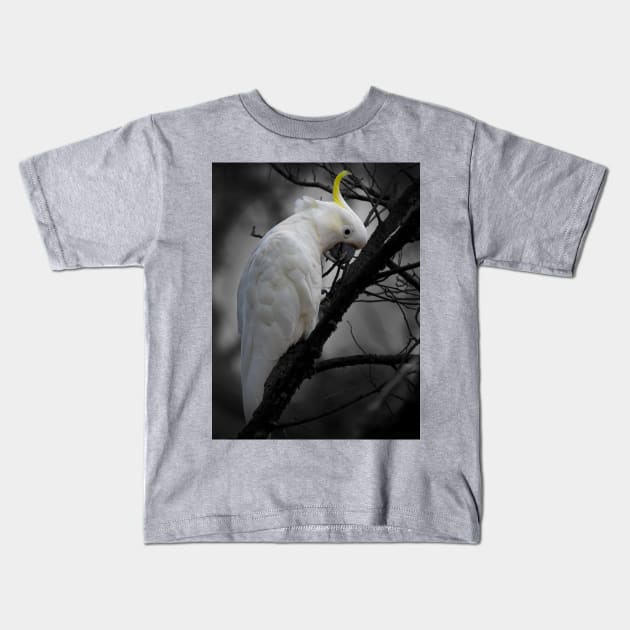 Sulphur-crested Cockatoo_3798A Kids T-Shirt by seadogprints
